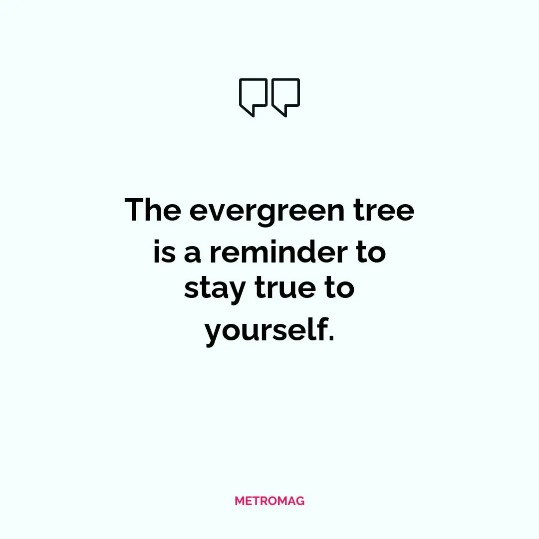 The evergreen tree is a reminder to stay true to yourself.