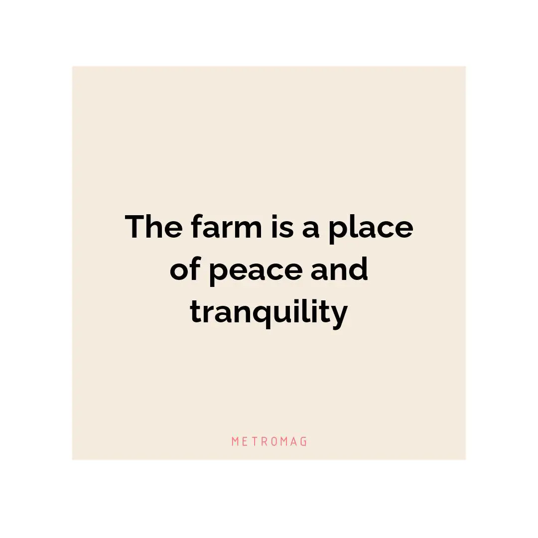 The farm is a place of peace and tranquility