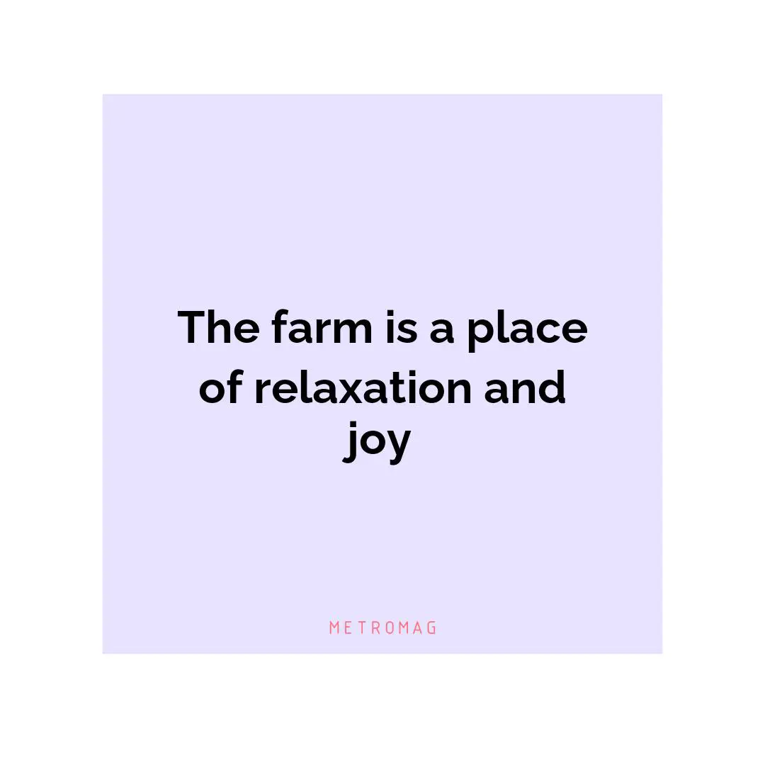 The farm is a place of relaxation and joy