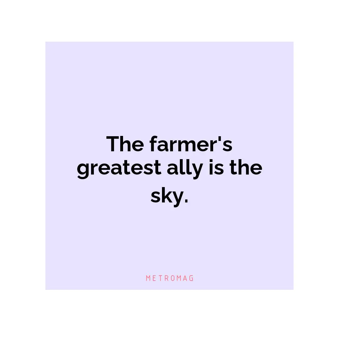 The farmer's greatest ally is the sky.