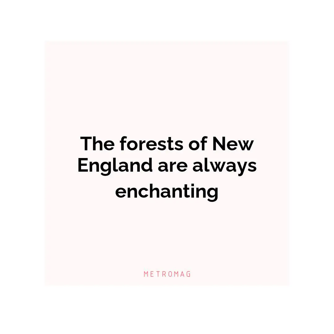 The forests of New England are always enchanting