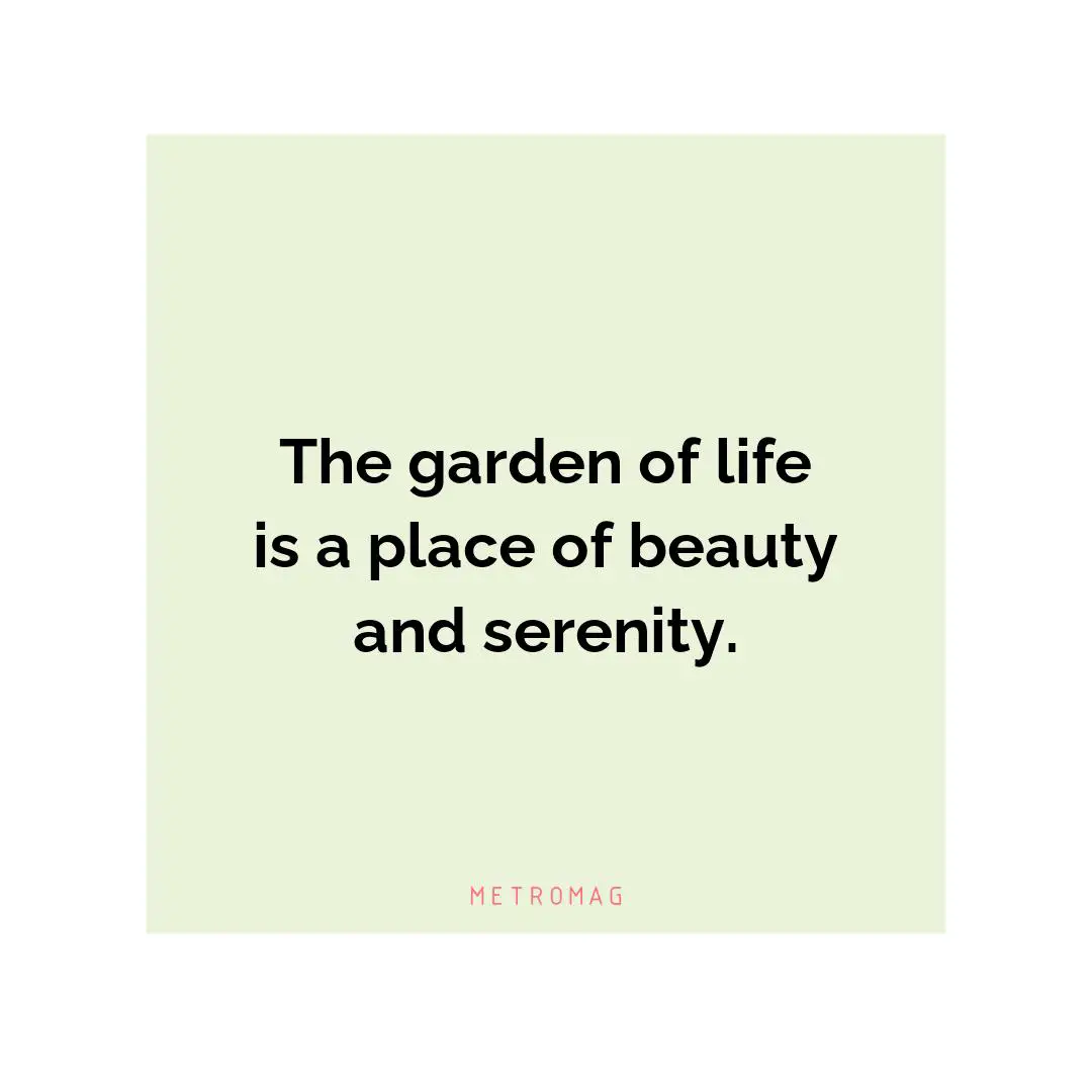 The garden of life is a place of beauty and serenity.