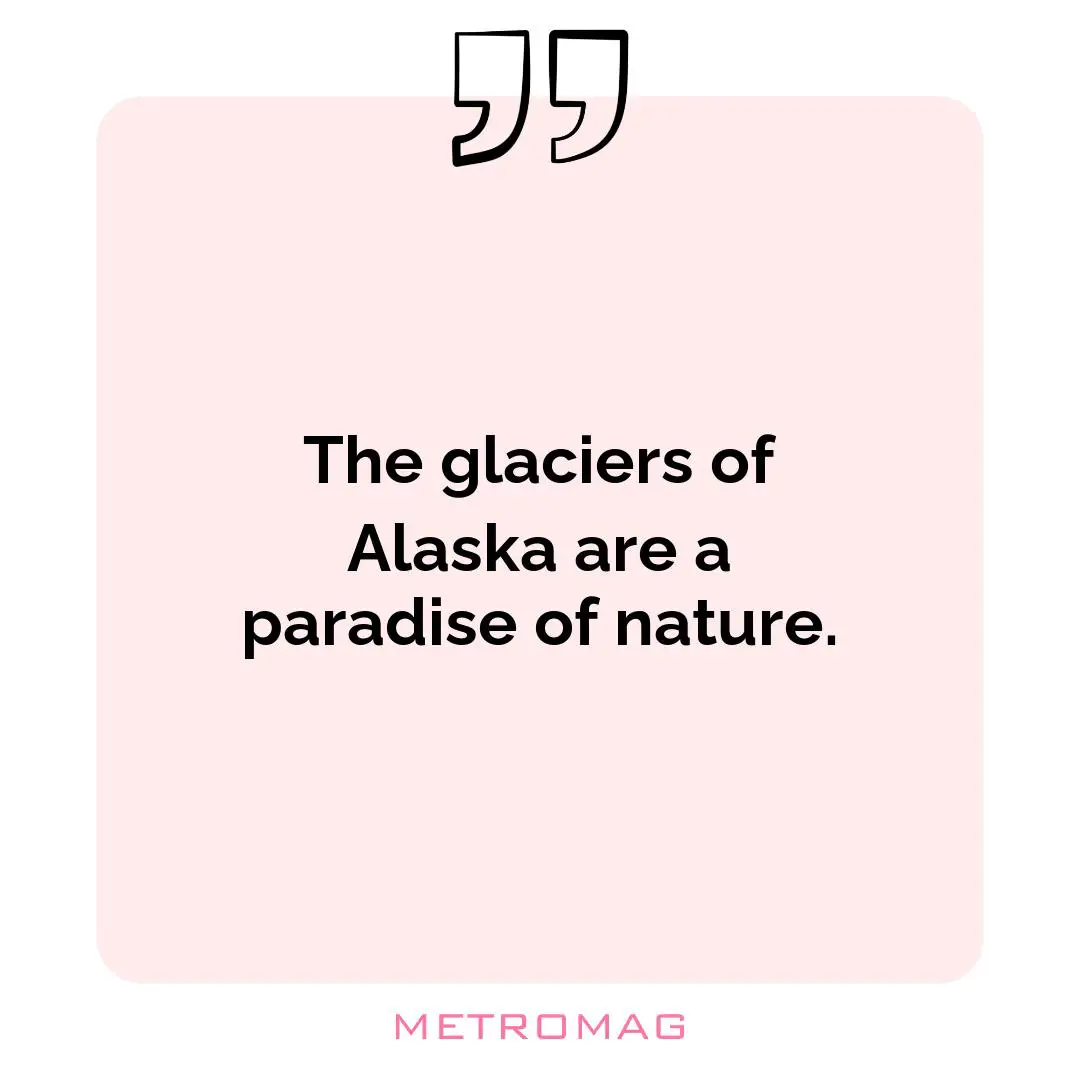 The glaciers of Alaska are a paradise of nature.