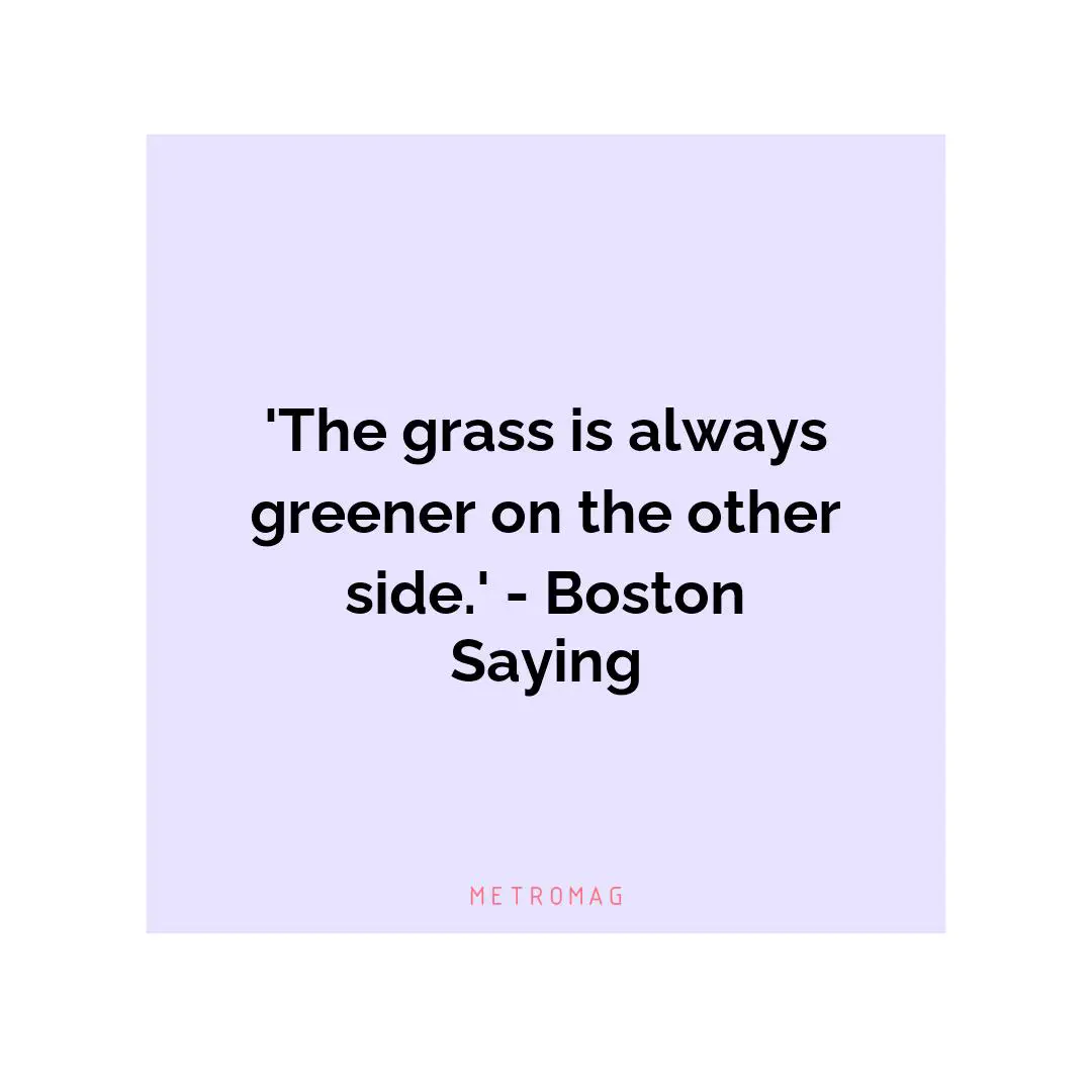 'The grass is always greener on the other side.' - Boston Saying