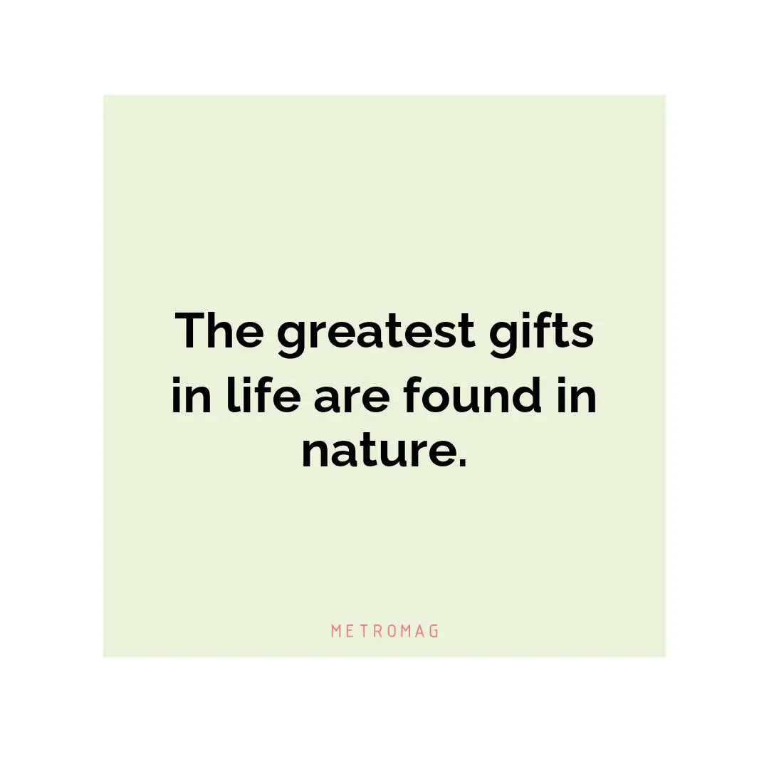 The greatest gifts in life are found in nature.