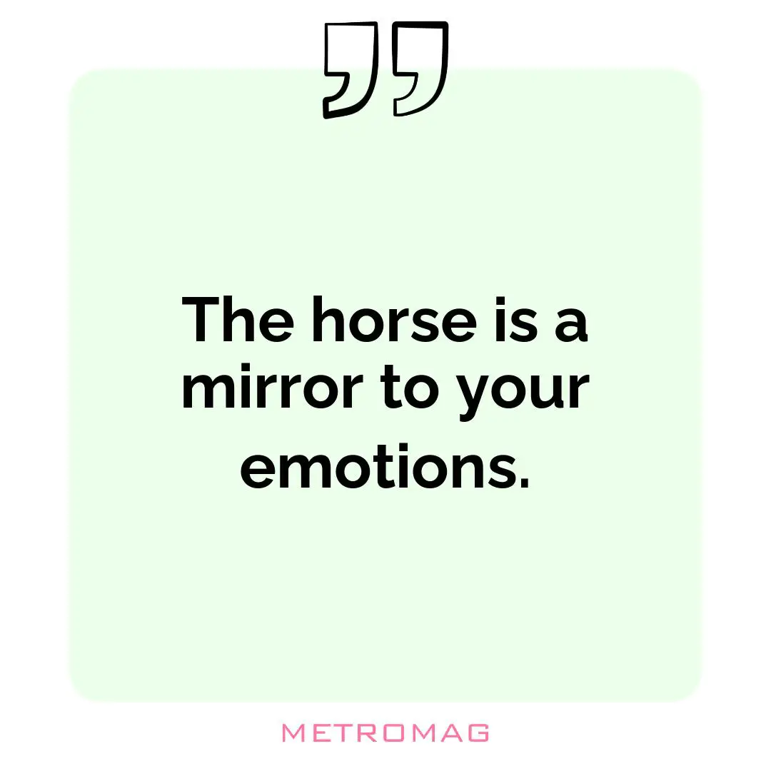 The horse is a mirror to your emotions.