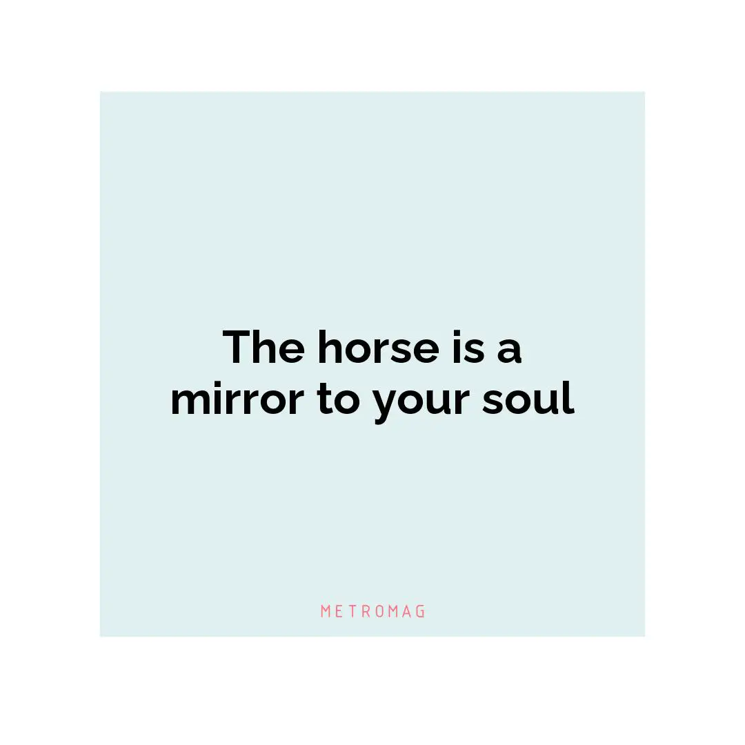The horse is a mirror to your soul