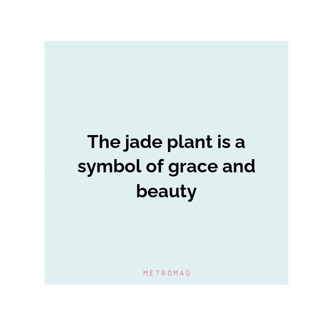 The jade plant is a symbol of grace and beauty