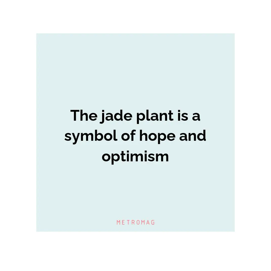 The jade plant is a symbol of hope and optimism