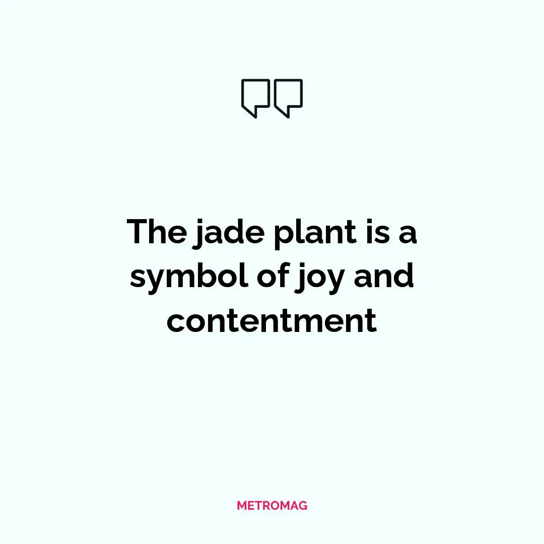 The jade plant is a symbol of joy and contentment