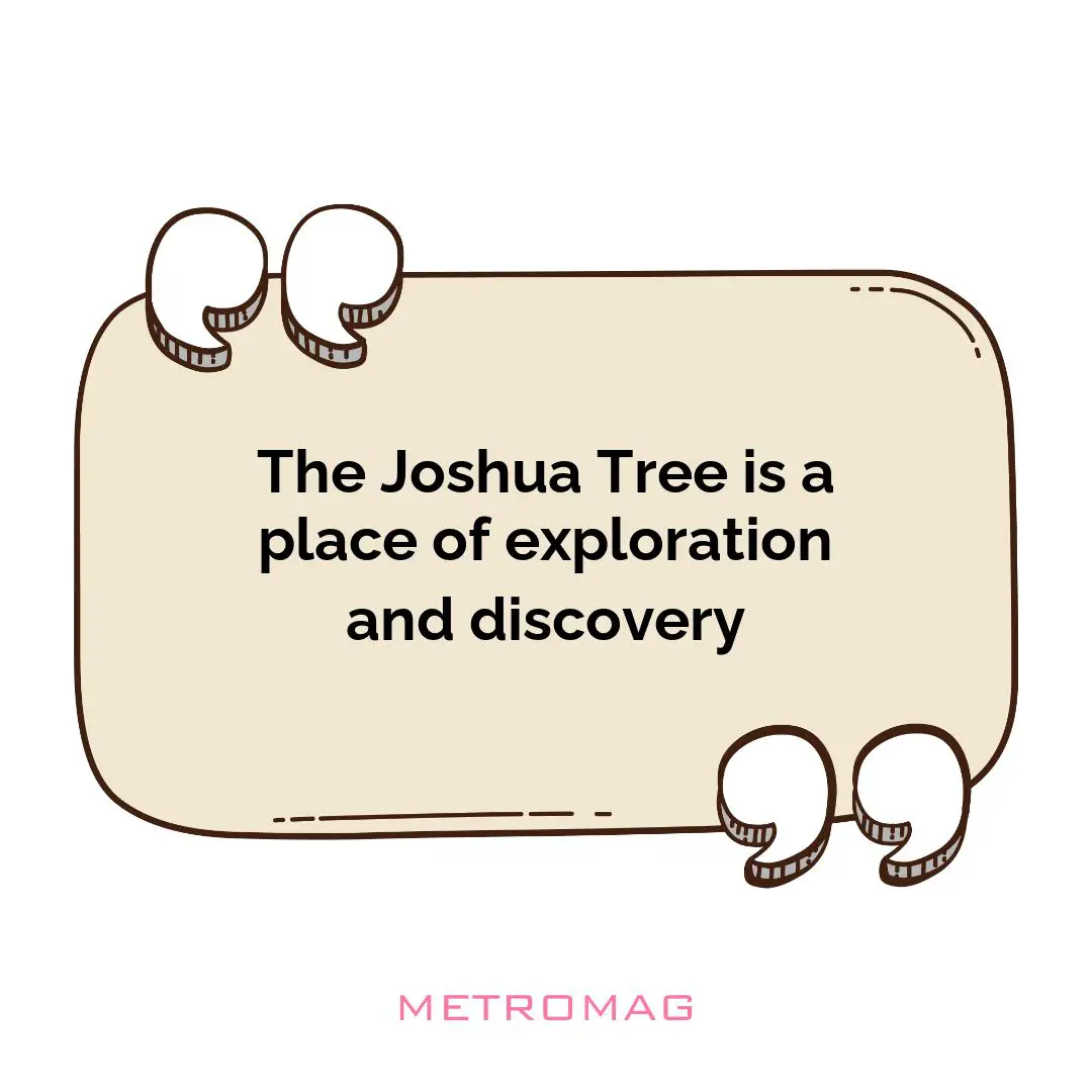 The Joshua Tree is a place of exploration and discovery