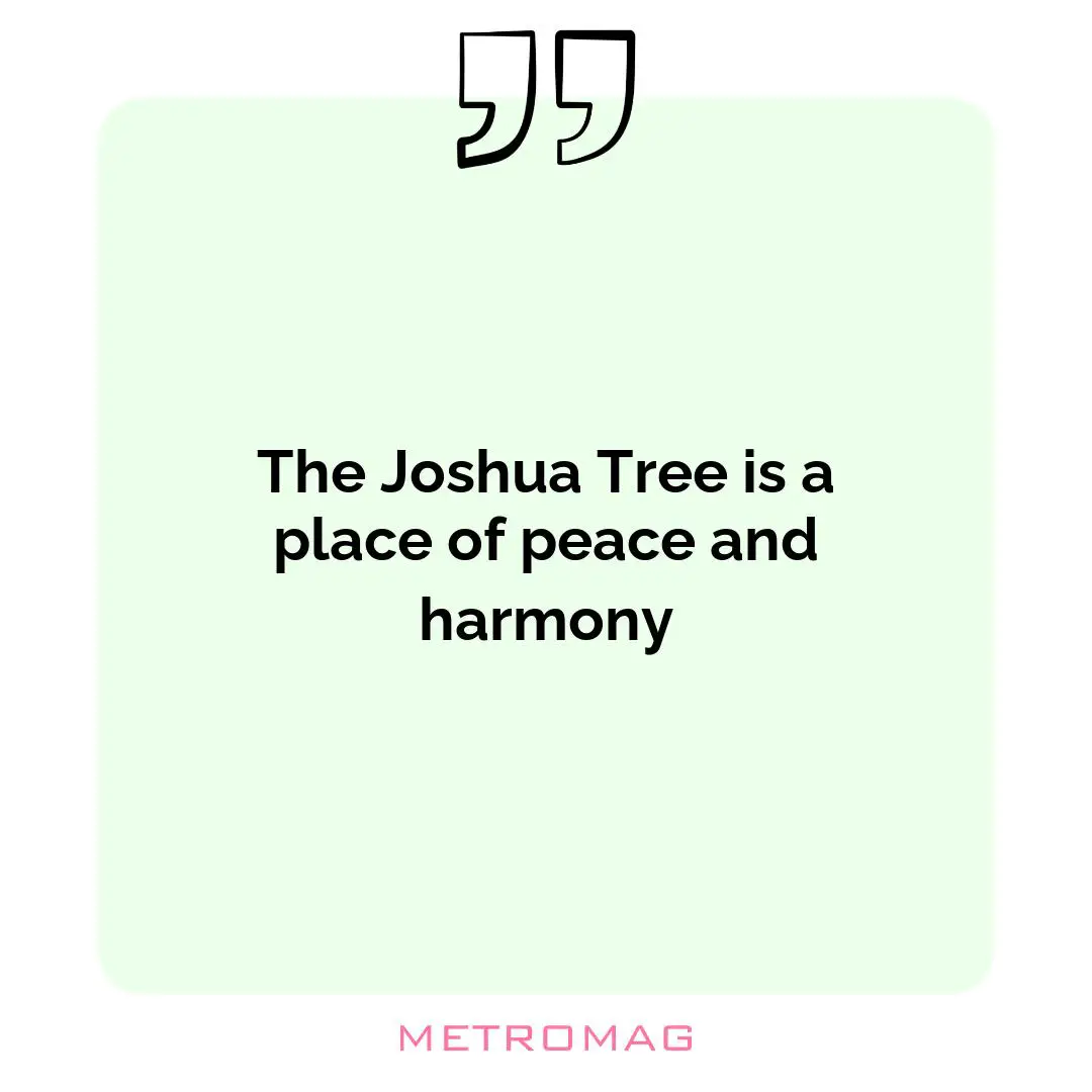 The Joshua Tree is a place of peace and harmony
