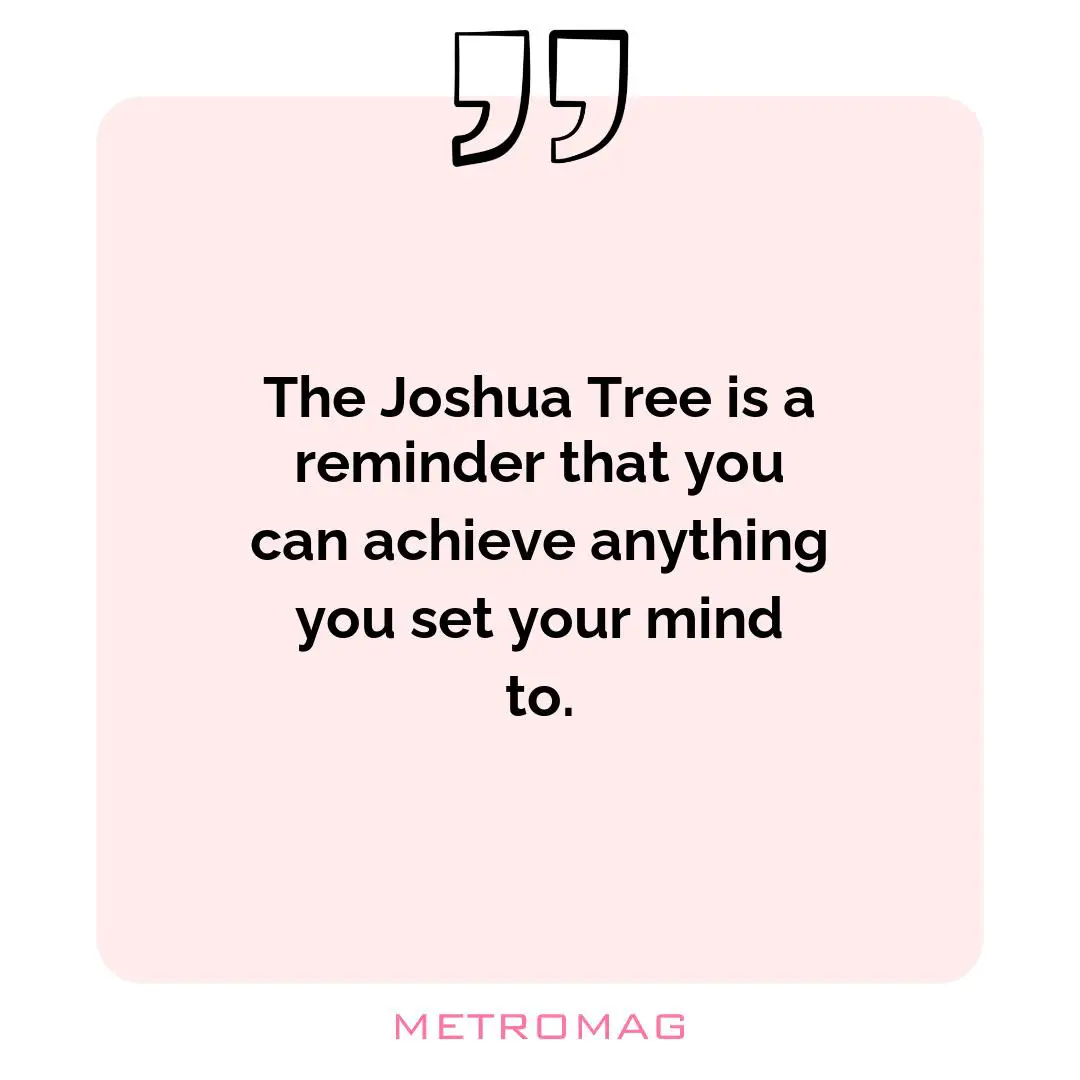 The Joshua Tree is a reminder that you can achieve anything you set your mind to.