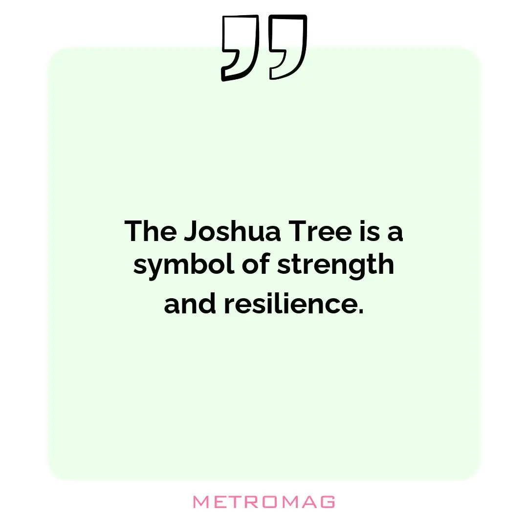 The Joshua Tree is a symbol of strength and resilience.