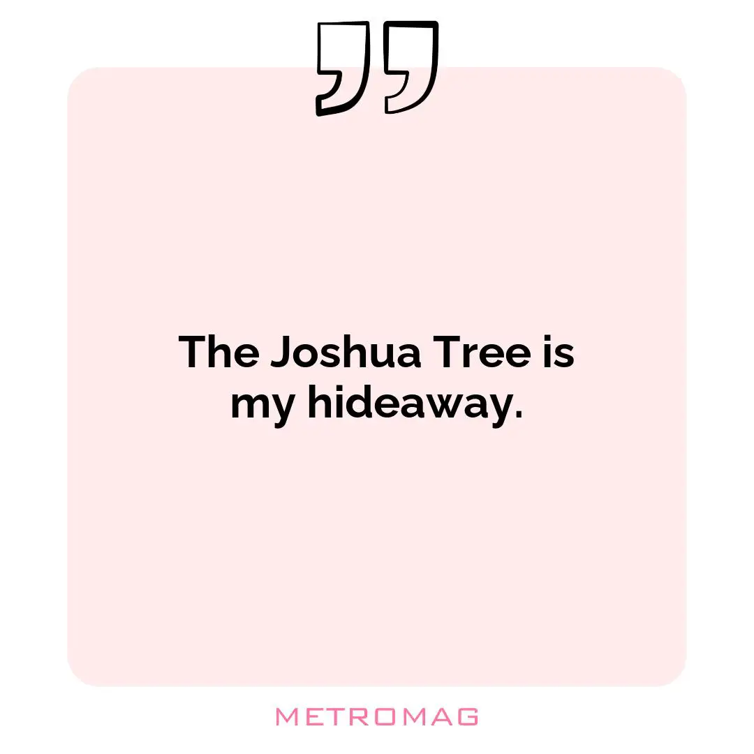 The Joshua Tree is my hideaway.