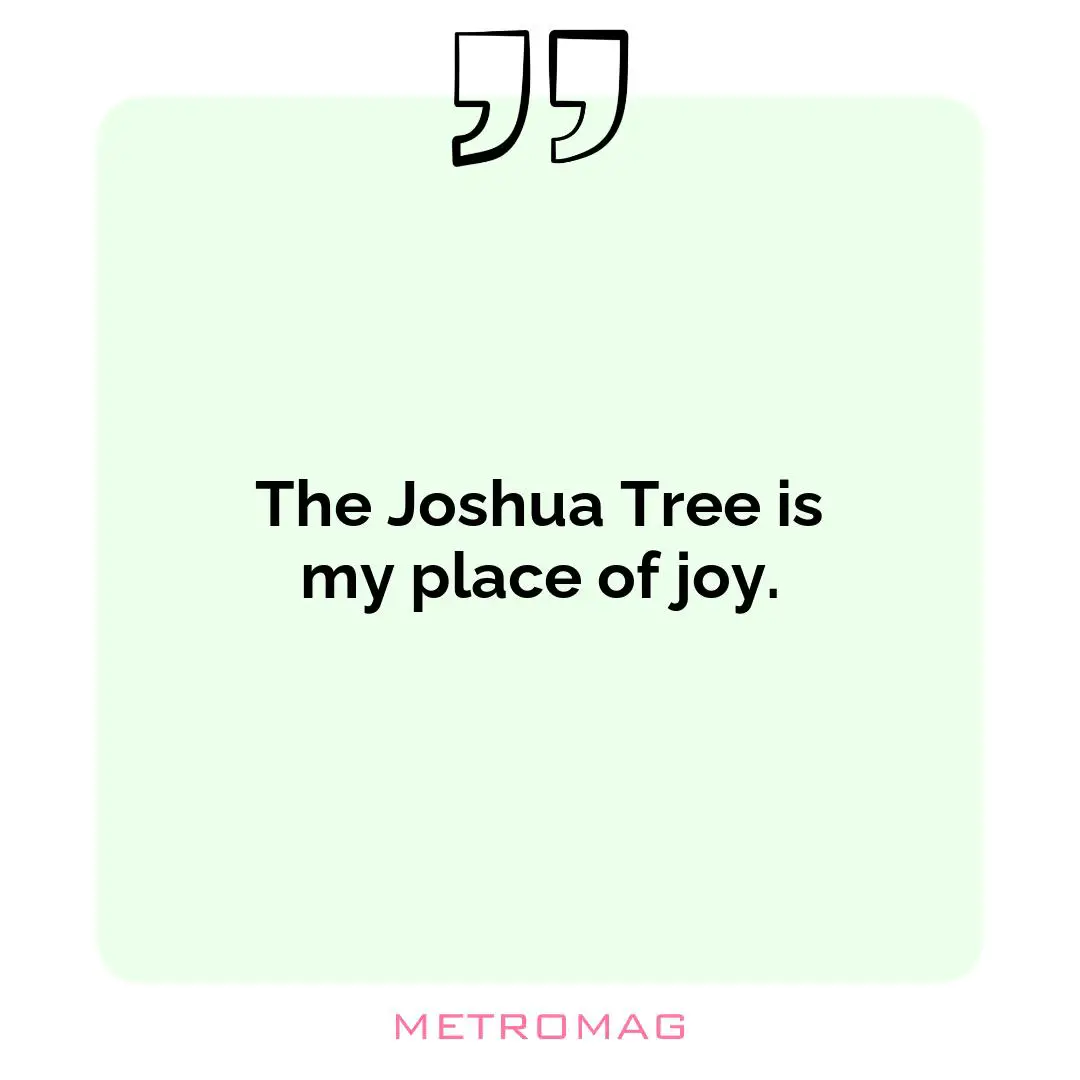 The Joshua Tree is my place of joy.