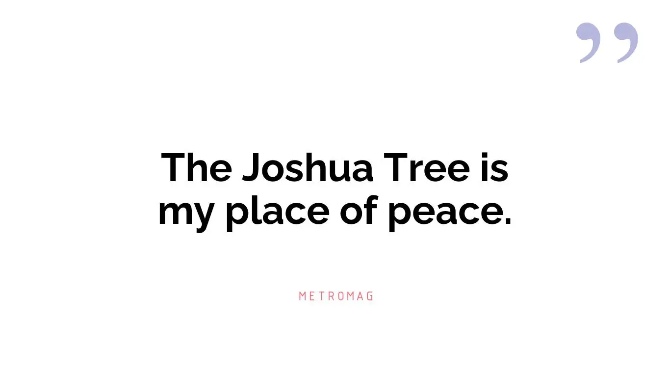 The Joshua Tree is my place of peace.