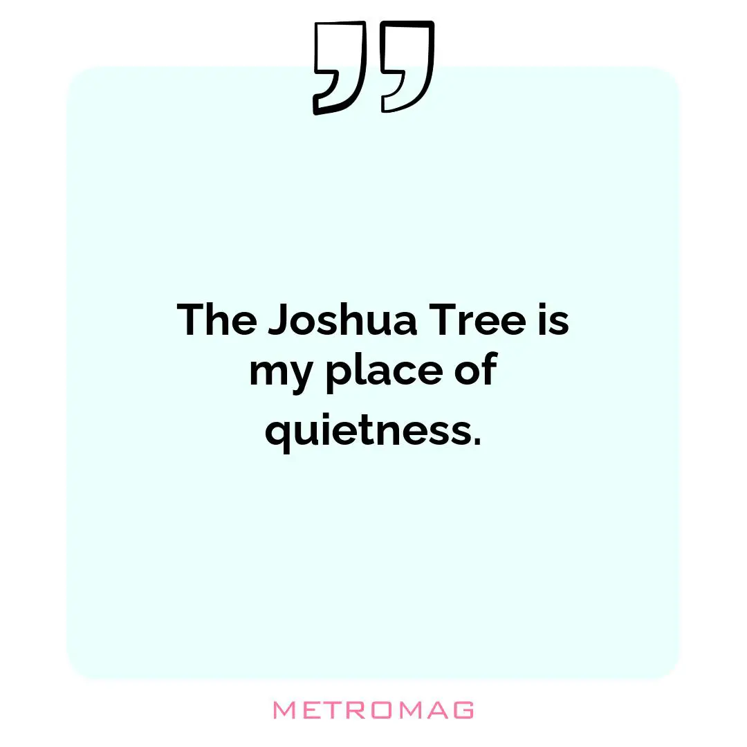 The Joshua Tree is my place of quietness.