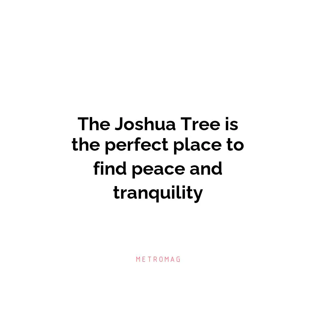 The Joshua Tree is the perfect place to find peace and tranquility