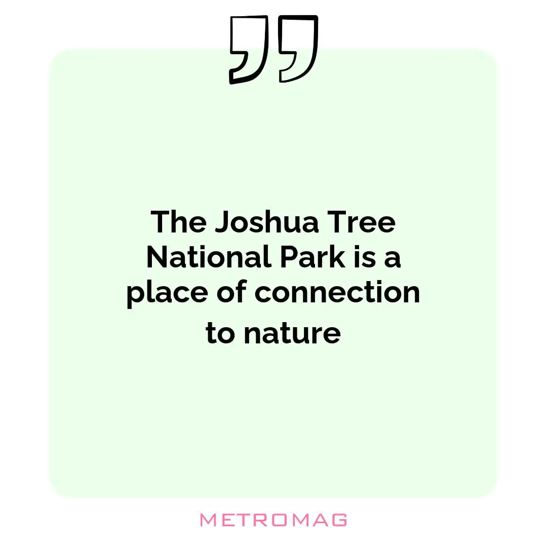 The Joshua Tree National Park is a place of connection to nature