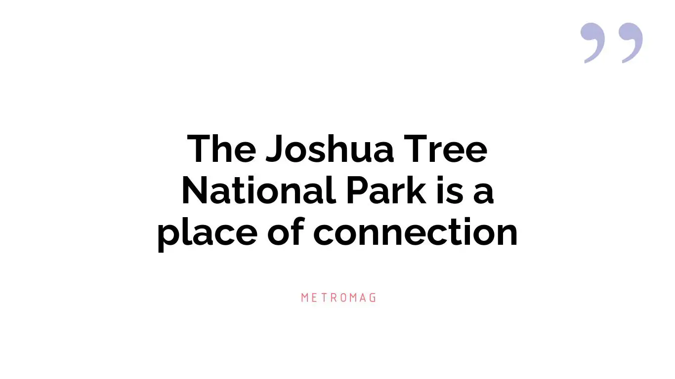 The Joshua Tree National Park is a place of connection