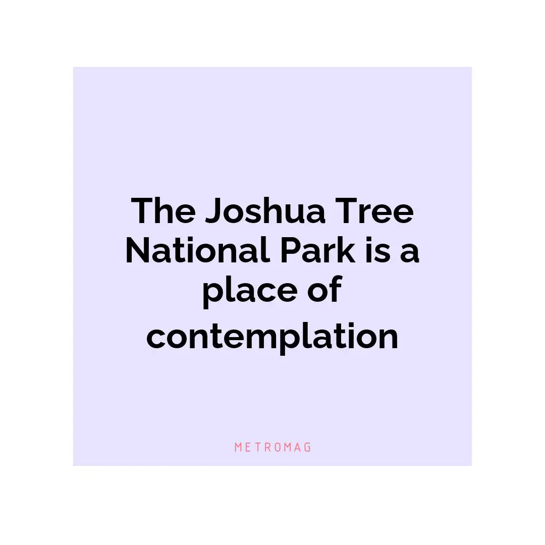 The Joshua Tree National Park is a place of contemplation