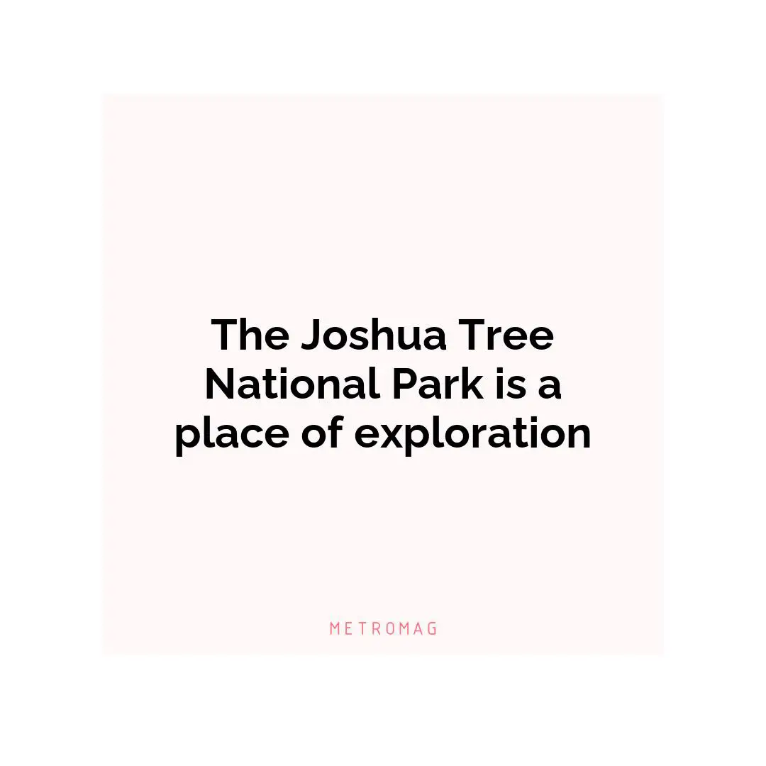 The Joshua Tree National Park is a place of exploration