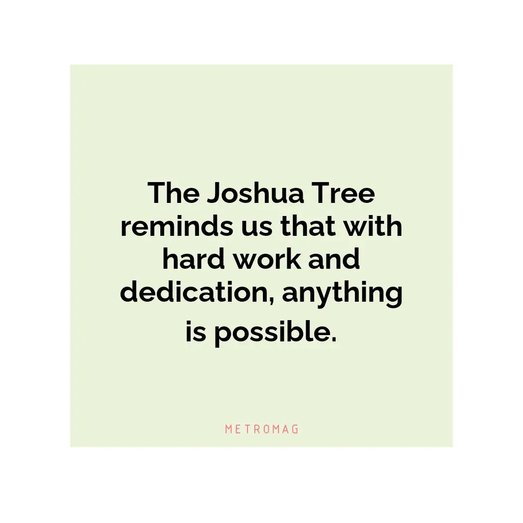 The Joshua Tree reminds us that with hard work and dedication, anything is possible.
