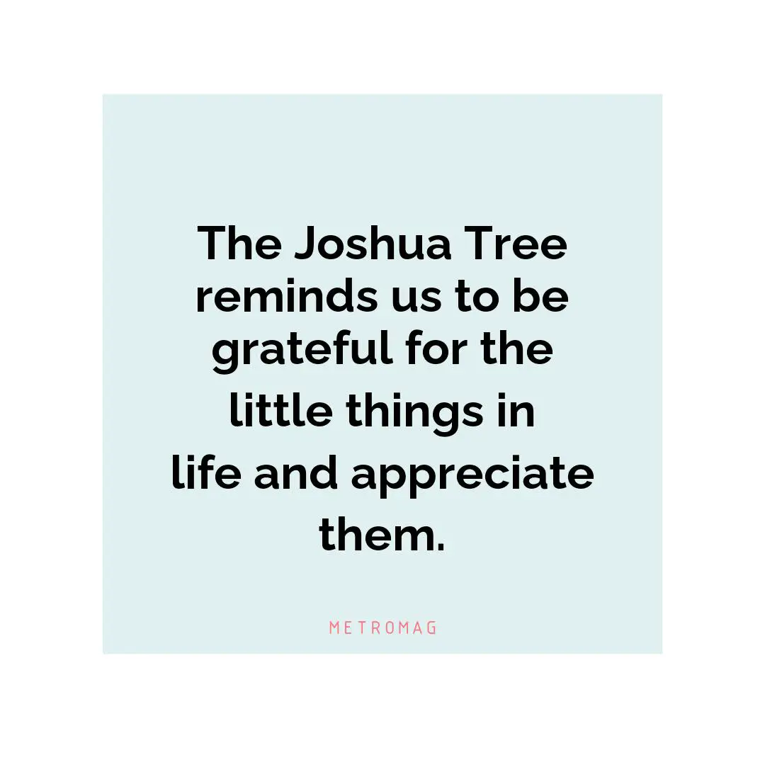 The Joshua Tree reminds us to be grateful for the little things in life and appreciate them.