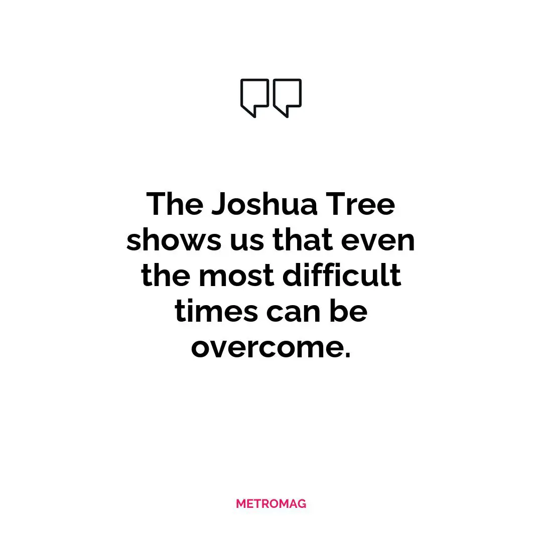 The Joshua Tree shows us that even the most difficult times can be overcome.