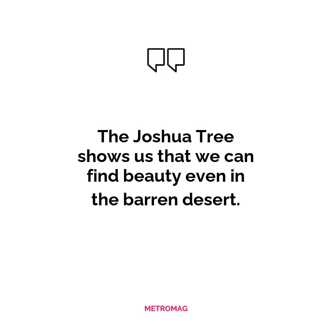 The Joshua Tree shows us that we can find beauty even in the barren desert.
