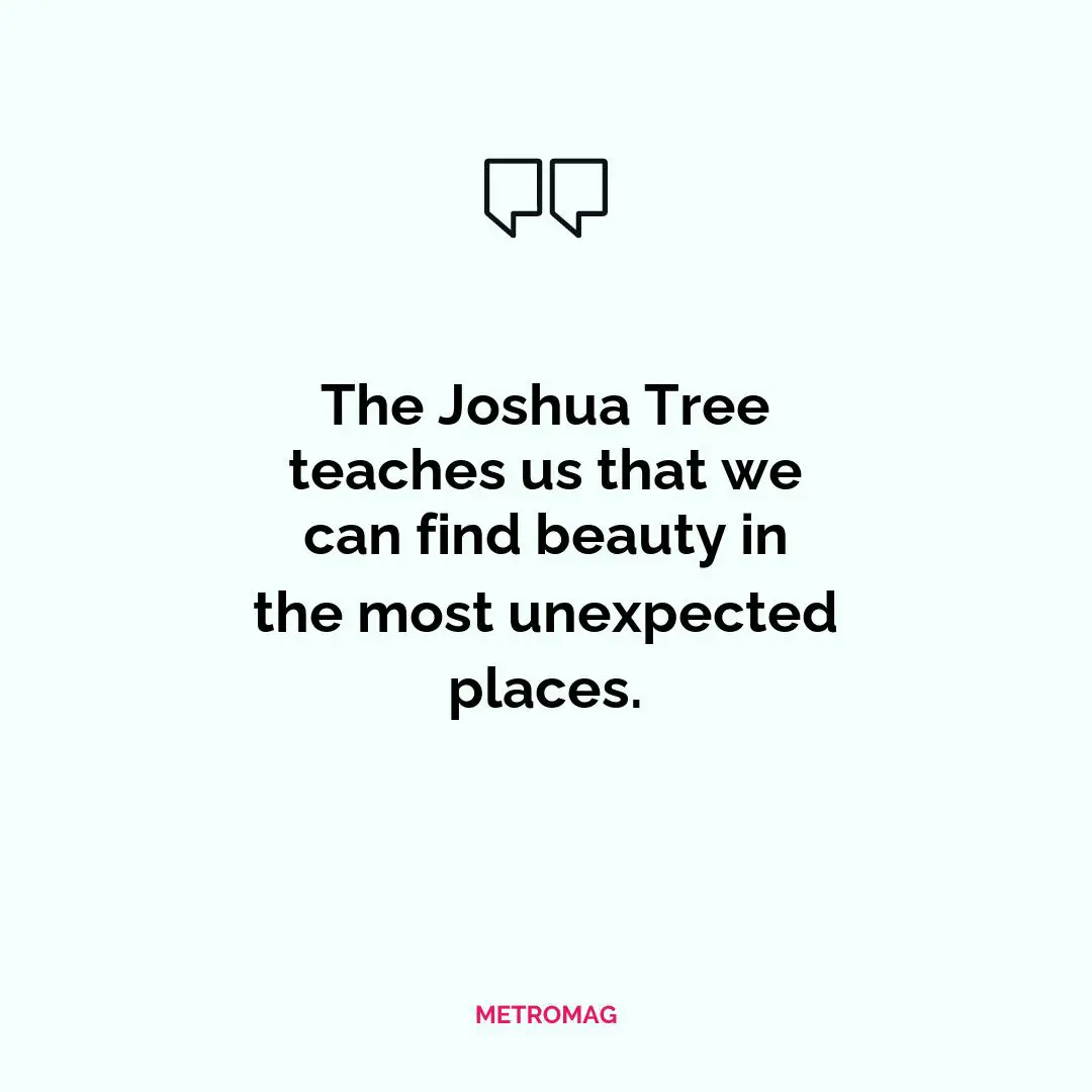 The Joshua Tree teaches us that we can find beauty in the most unexpected places.