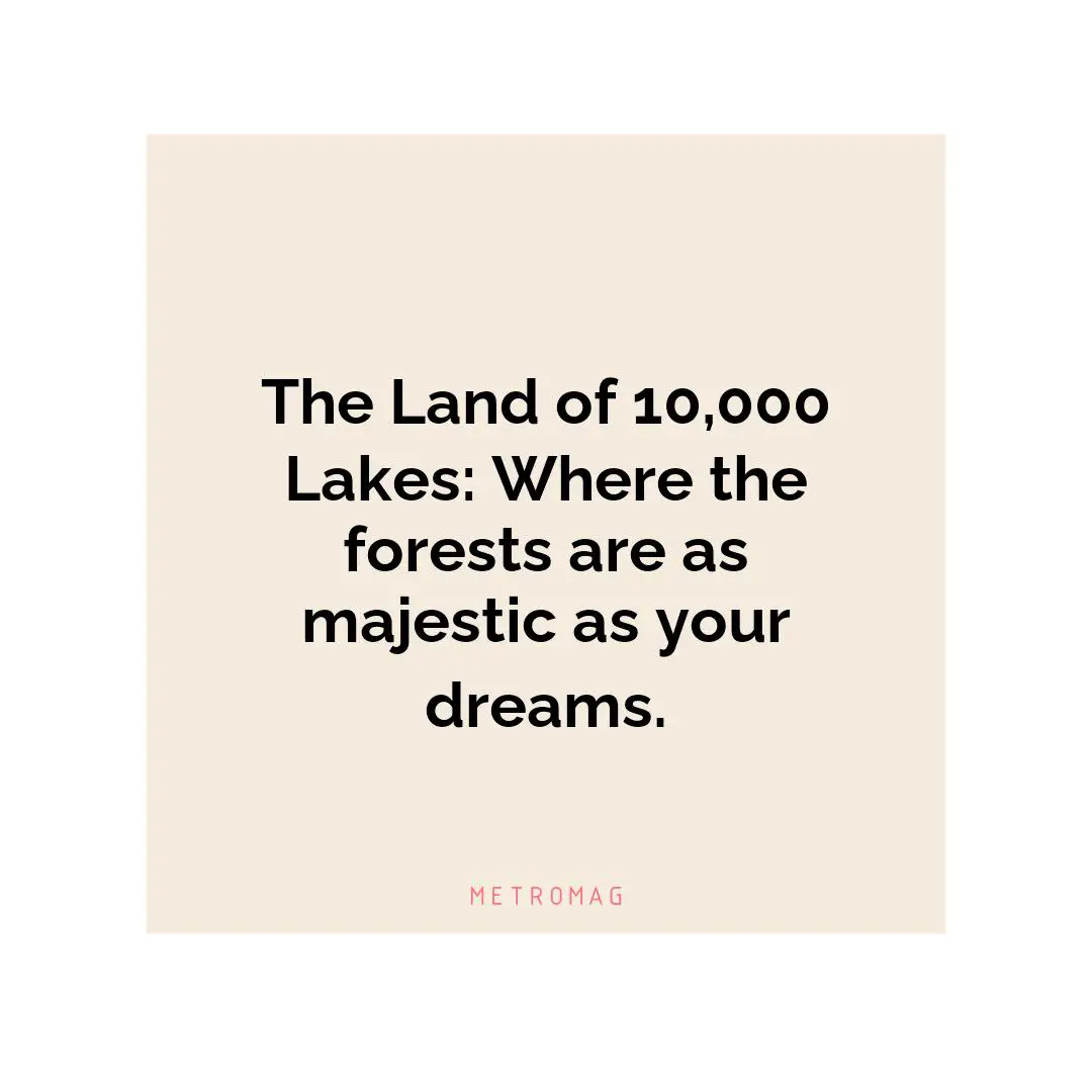 The Land of 10,000 Lakes: Where the forests are as majestic as your dreams.