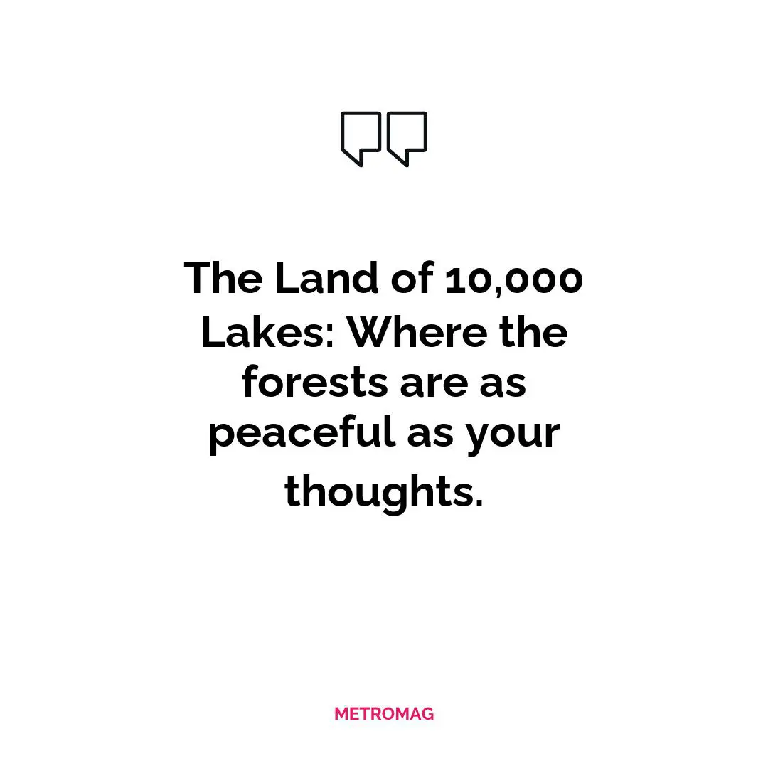 The Land of 10,000 Lakes: Where the forests are as peaceful as your thoughts.