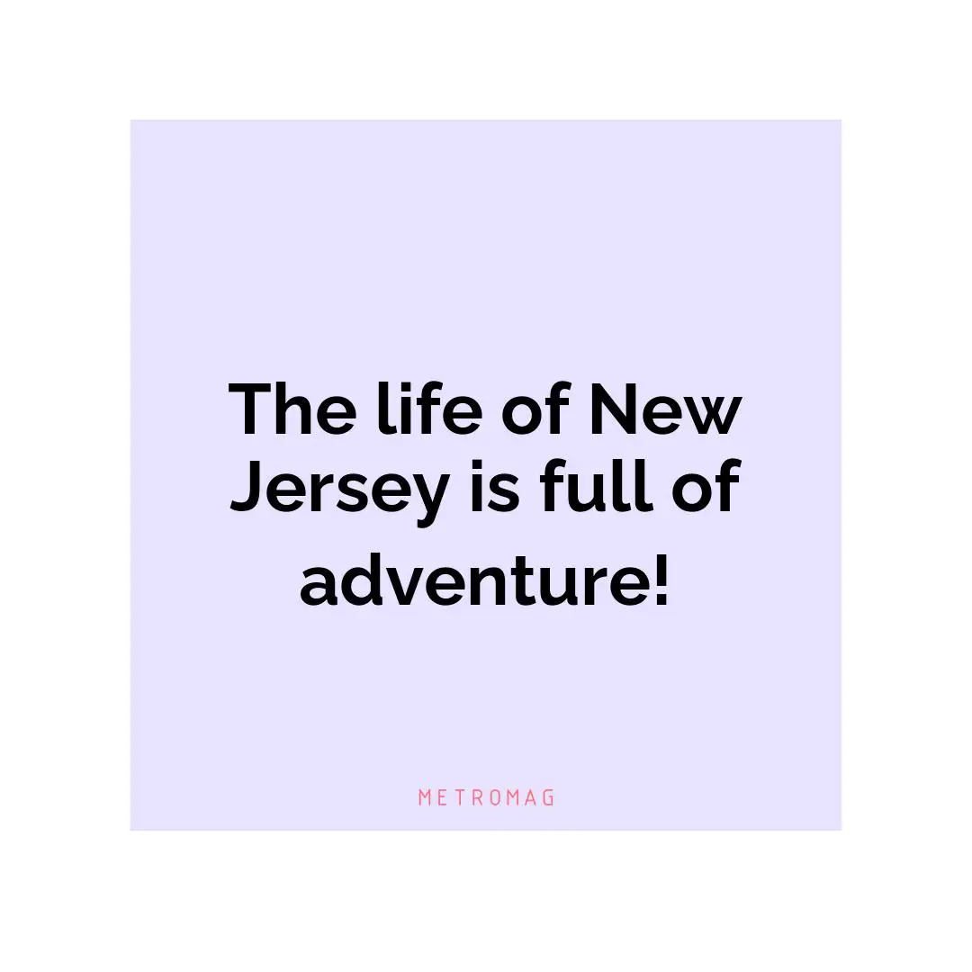 The life of New Jersey is full of adventure!