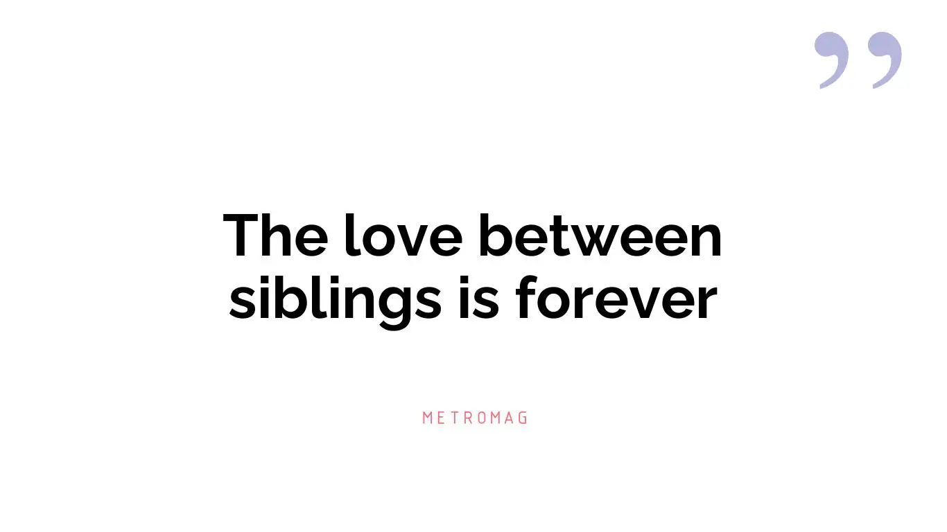 The love between siblings is forever