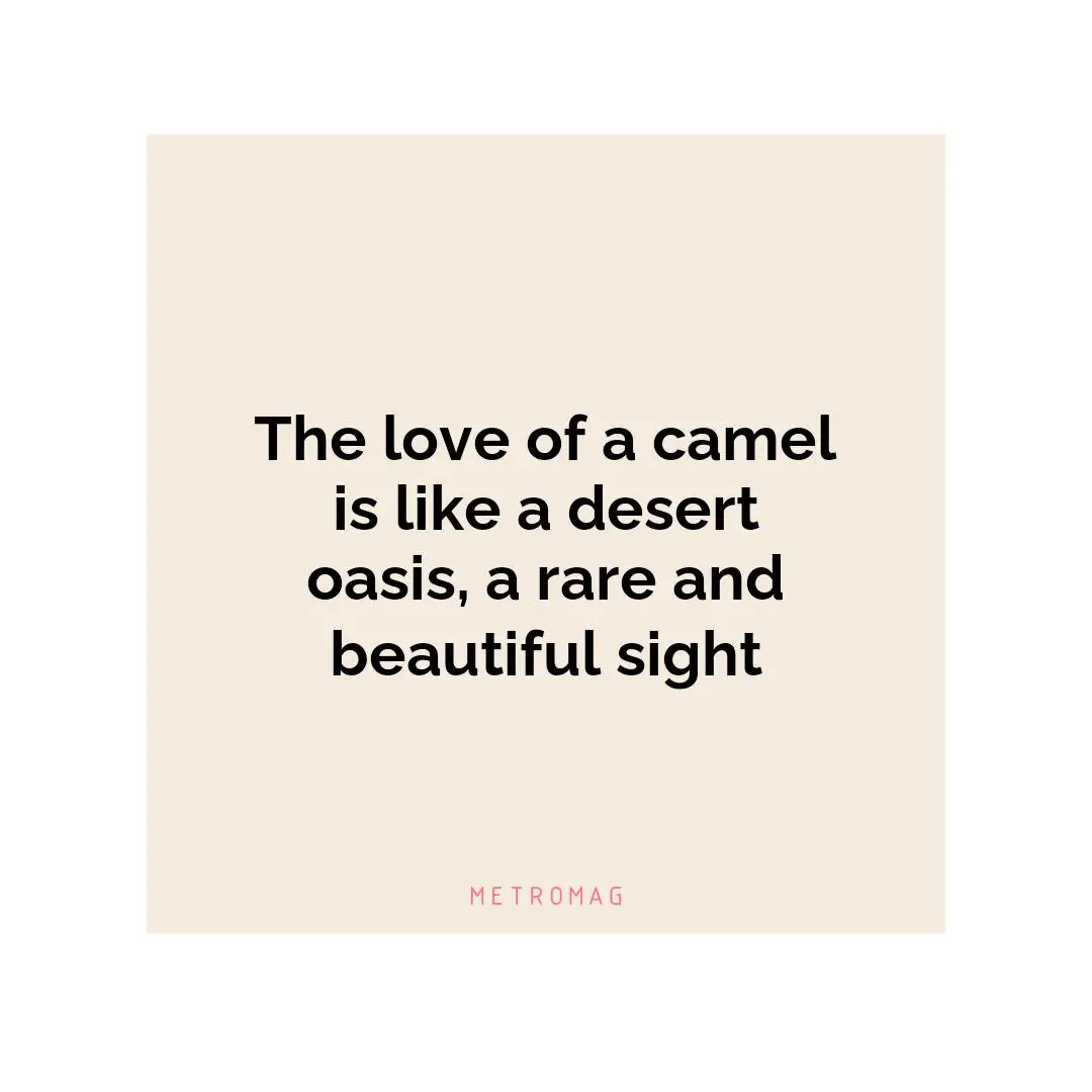 The love of a camel is like a desert oasis, a rare and beautiful sight