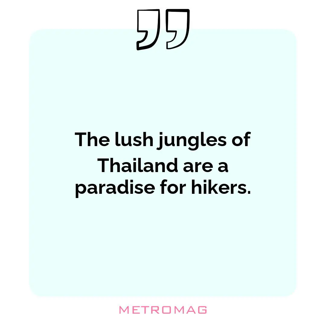 The lush jungles of Thailand are a paradise for hikers.