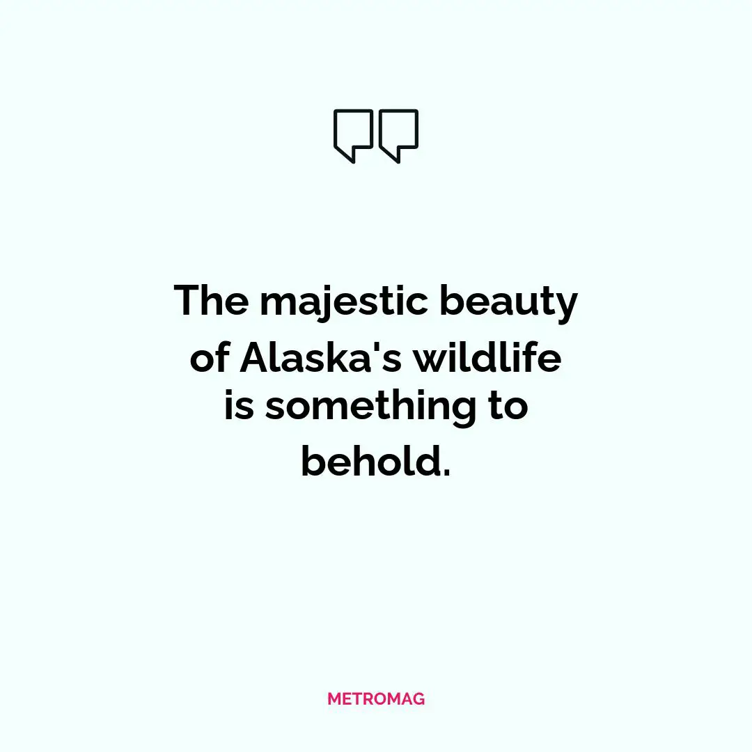 The majestic beauty of Alaska's wildlife is something to behold.