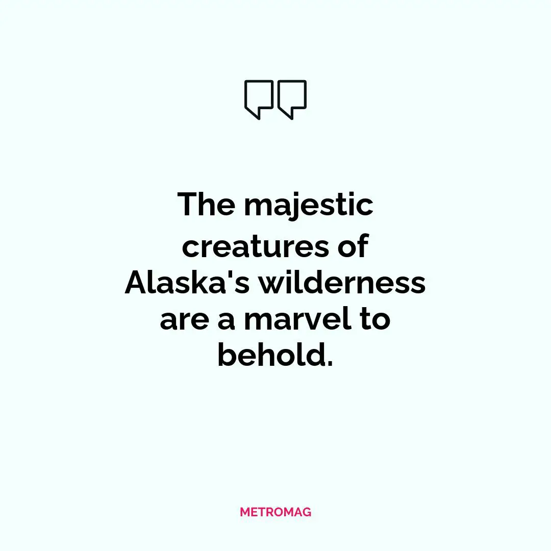 The majestic creatures of Alaska's wilderness are a marvel to behold.
