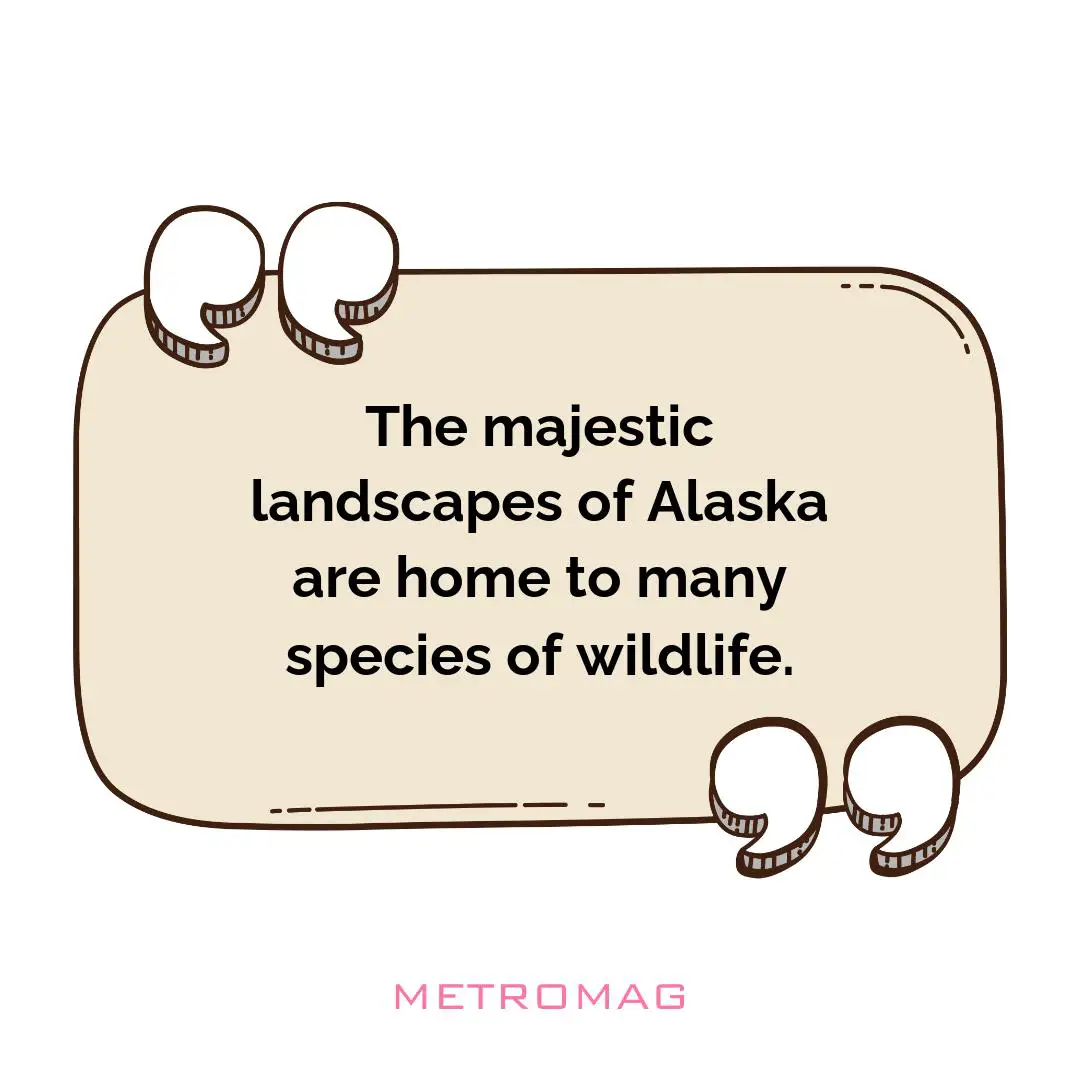 The majestic landscapes of Alaska are home to many species of wildlife.