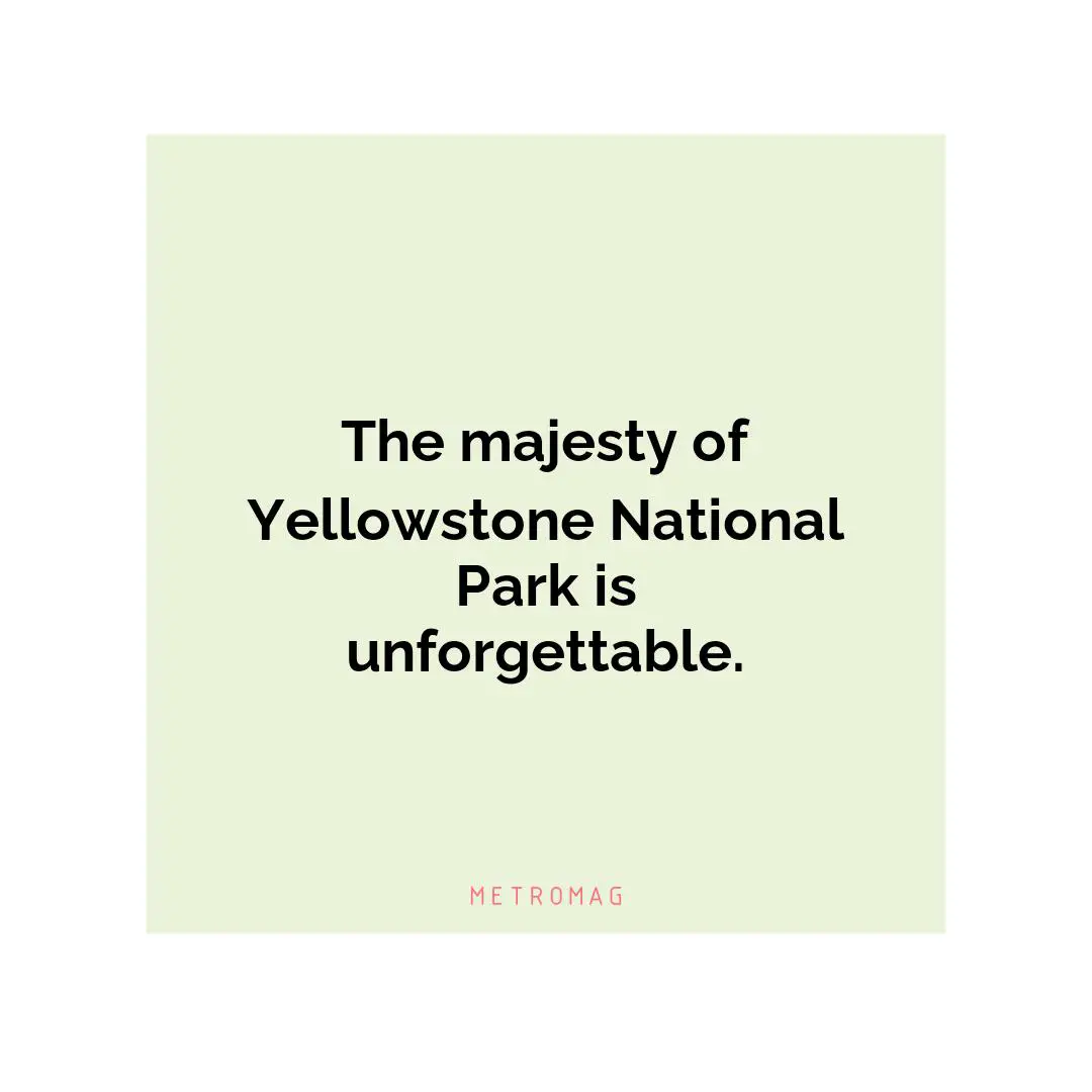 The majesty of Yellowstone National Park is unforgettable.