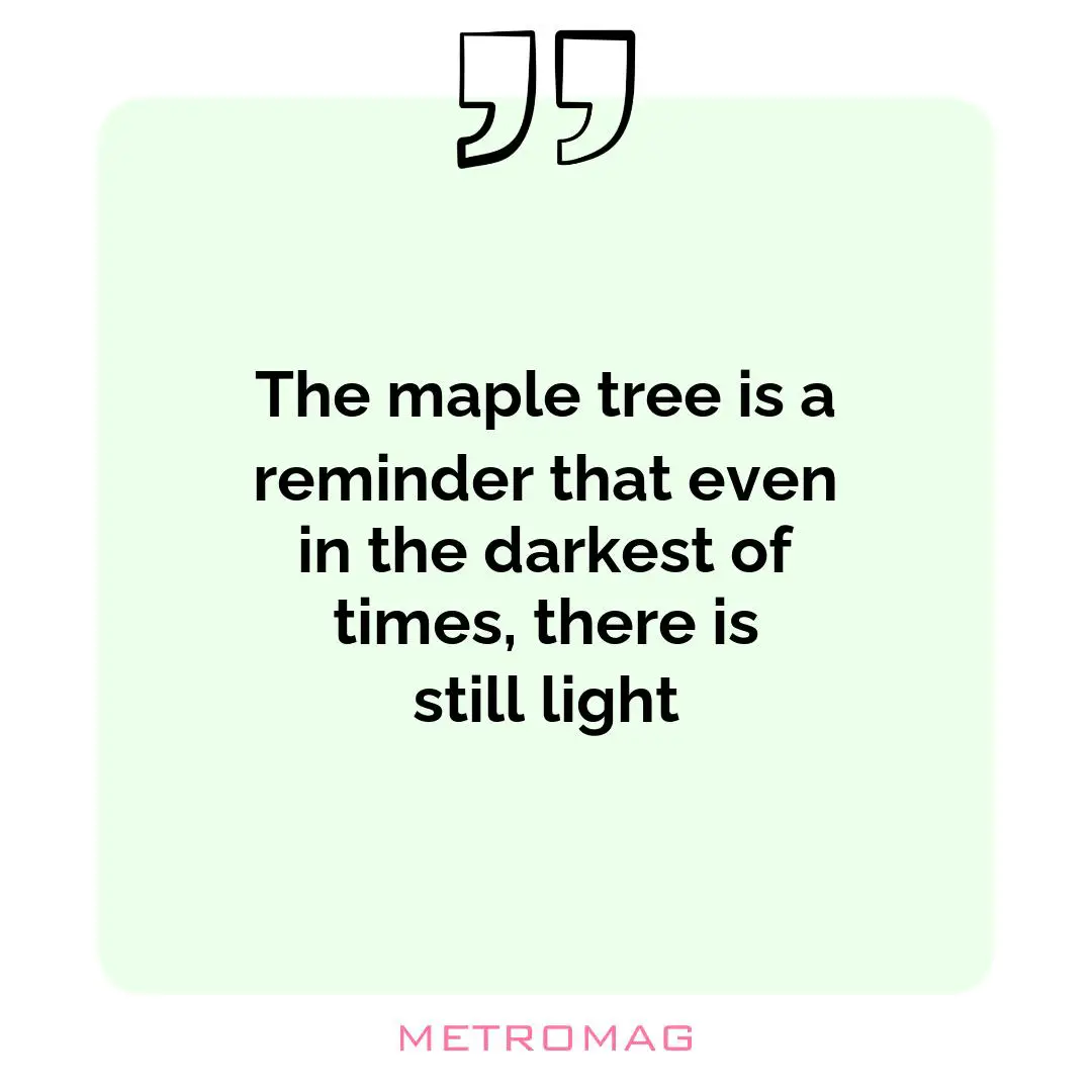 The maple tree is a reminder that even in the darkest of times, there is still light