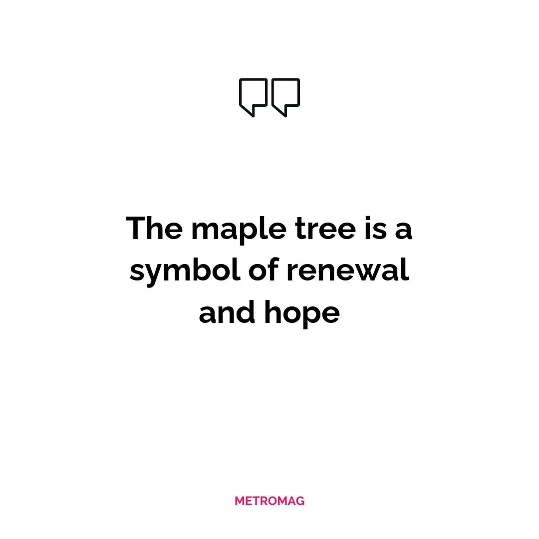 The maple tree is a symbol of renewal and hope