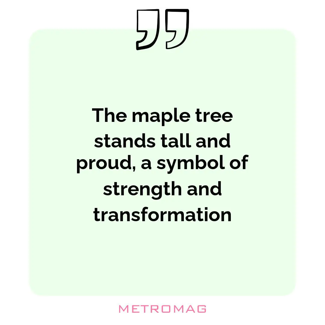 The maple tree stands tall and proud, a symbol of strength and transformation