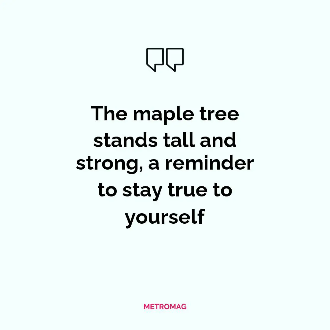 The maple tree stands tall and strong, a reminder to stay true to yourself