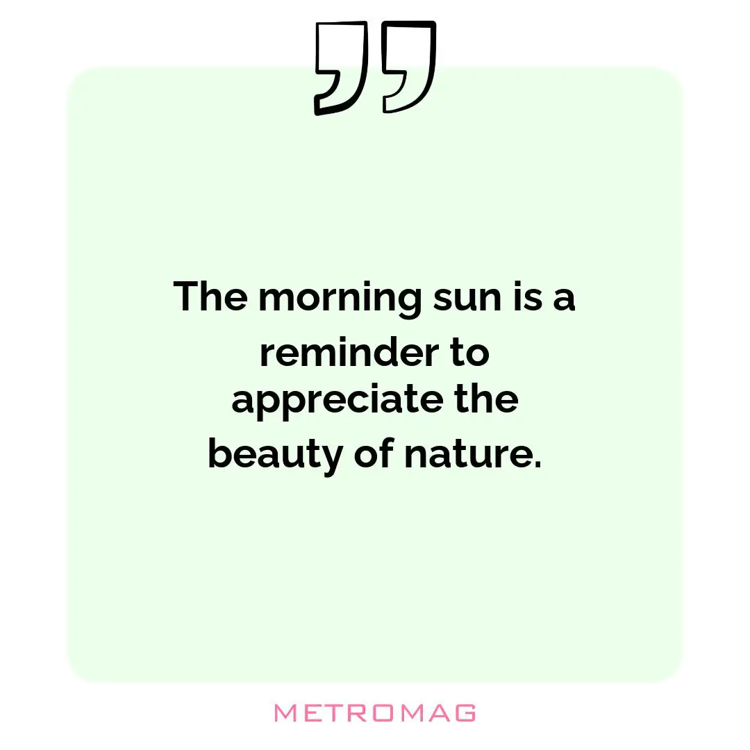 The morning sun is a reminder to appreciate the beauty of nature.