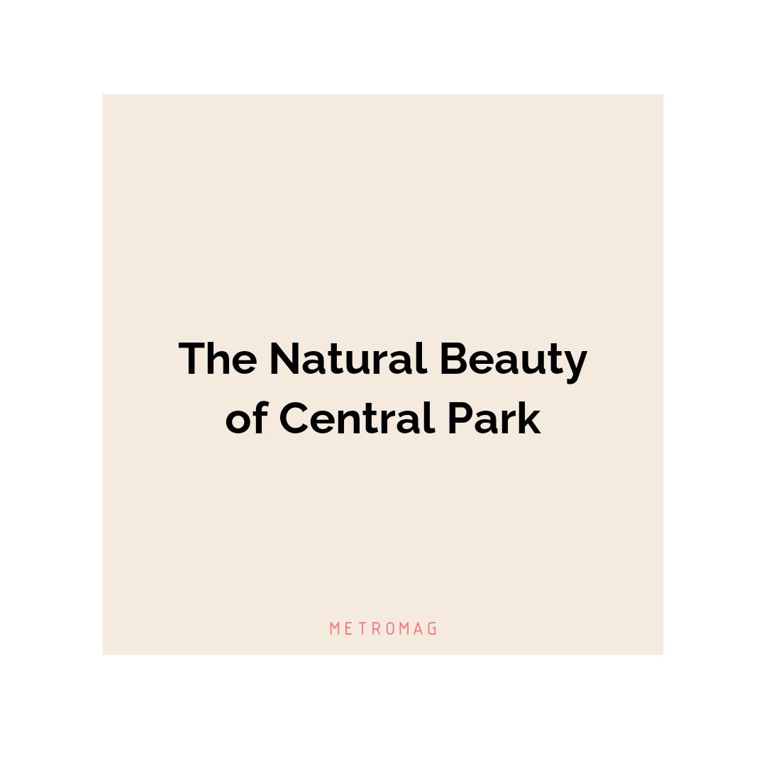 The Natural Beauty of Central Park