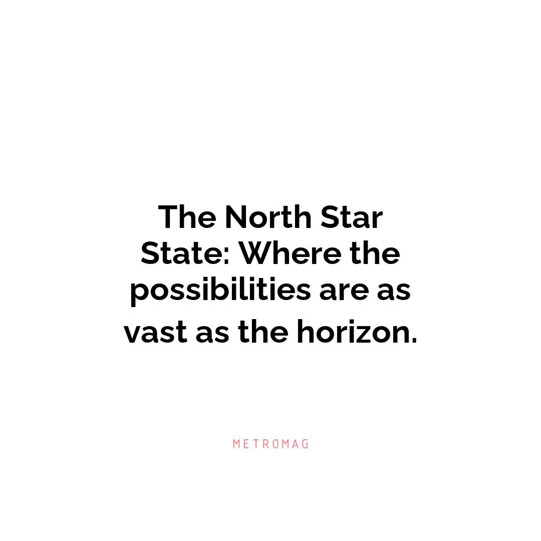 The North Star State: Where the possibilities are as vast as the horizon.
