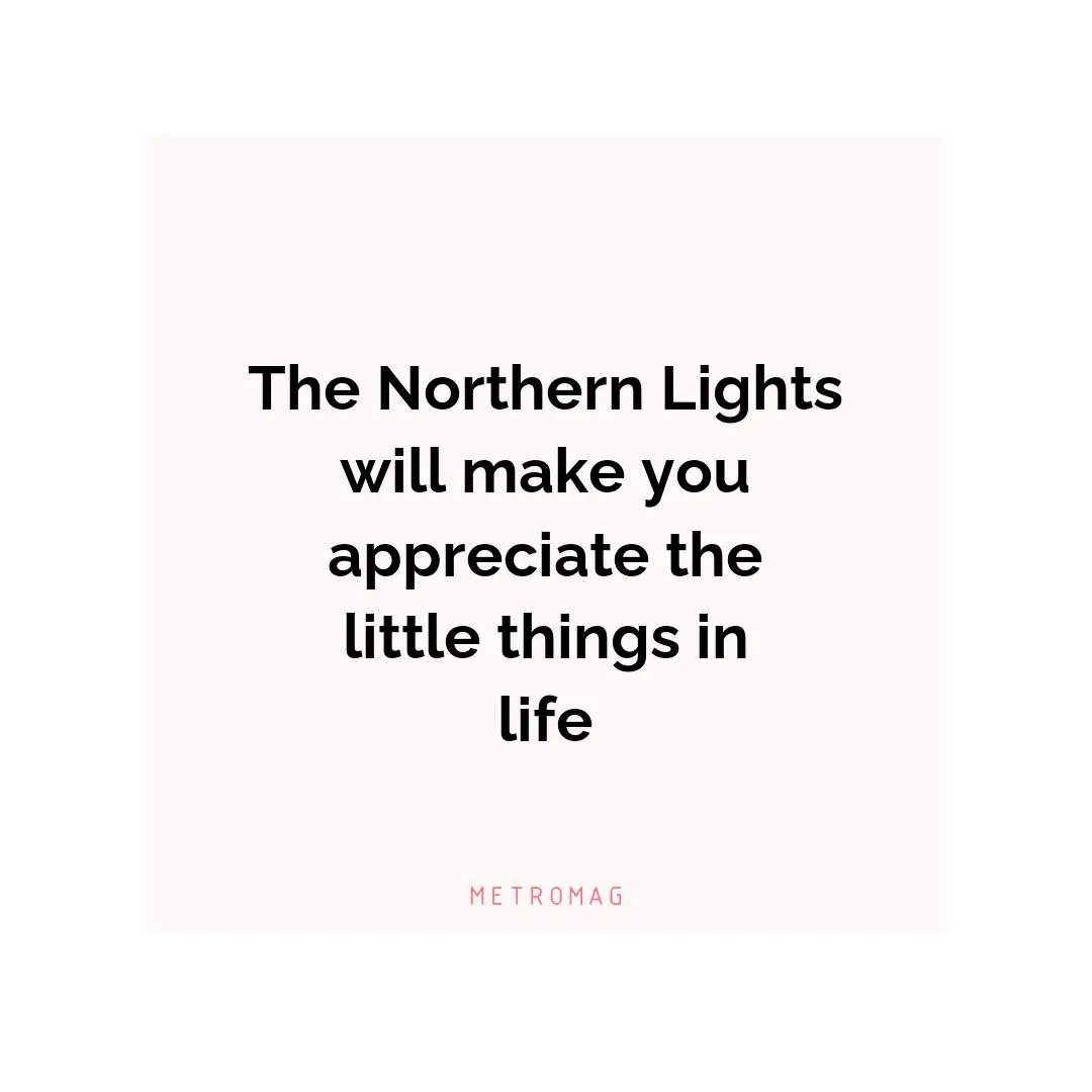 The Northern Lights will make you appreciate the little things in life